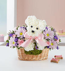 It’s a-DOG-a-Girl Davenport Florist - Same Day Flower Delivery - Flower Power 